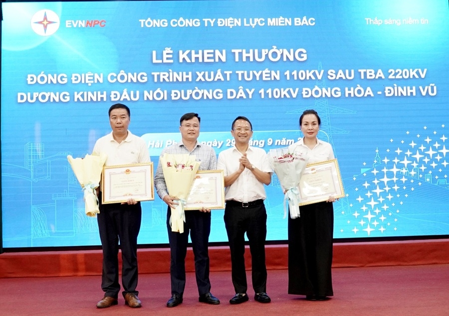 Vượt khó đưa dự án xuất tuyến 110kV Dương Kinh về đích đúng tiến độ - Ảnh 5.