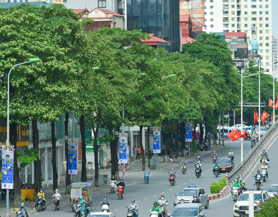 Mùi hoa sữa gây đau đầu, buồn nôn: Bác sĩ lý giải vì sao - Ảnh 2.