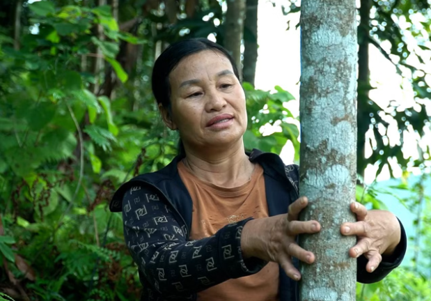 Phụ nữ vùng cao làm giàu từ những cánh rừng quế - Ảnh 1.