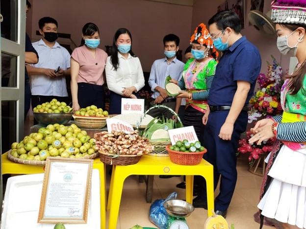 Phụ nữ khởi nghiệp: Có sản phẩm tốt, vì sao vẫn khó lớn?- Ảnh 4.