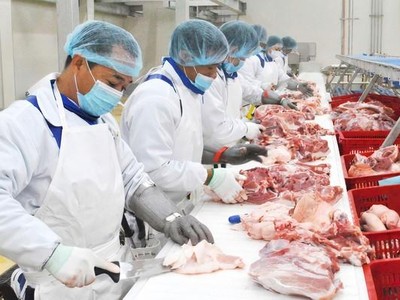 BaF Việt Nam: Chuỗi khép kín, biên an toàn mỏng và phép thử dòng tiền- Ảnh 2.