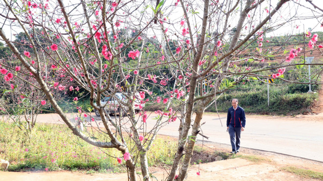 "Bỏ túi" những kinh nghiệm giữ gìn sức khỏe, vững vàng chào đón năm mới- Ảnh 1.