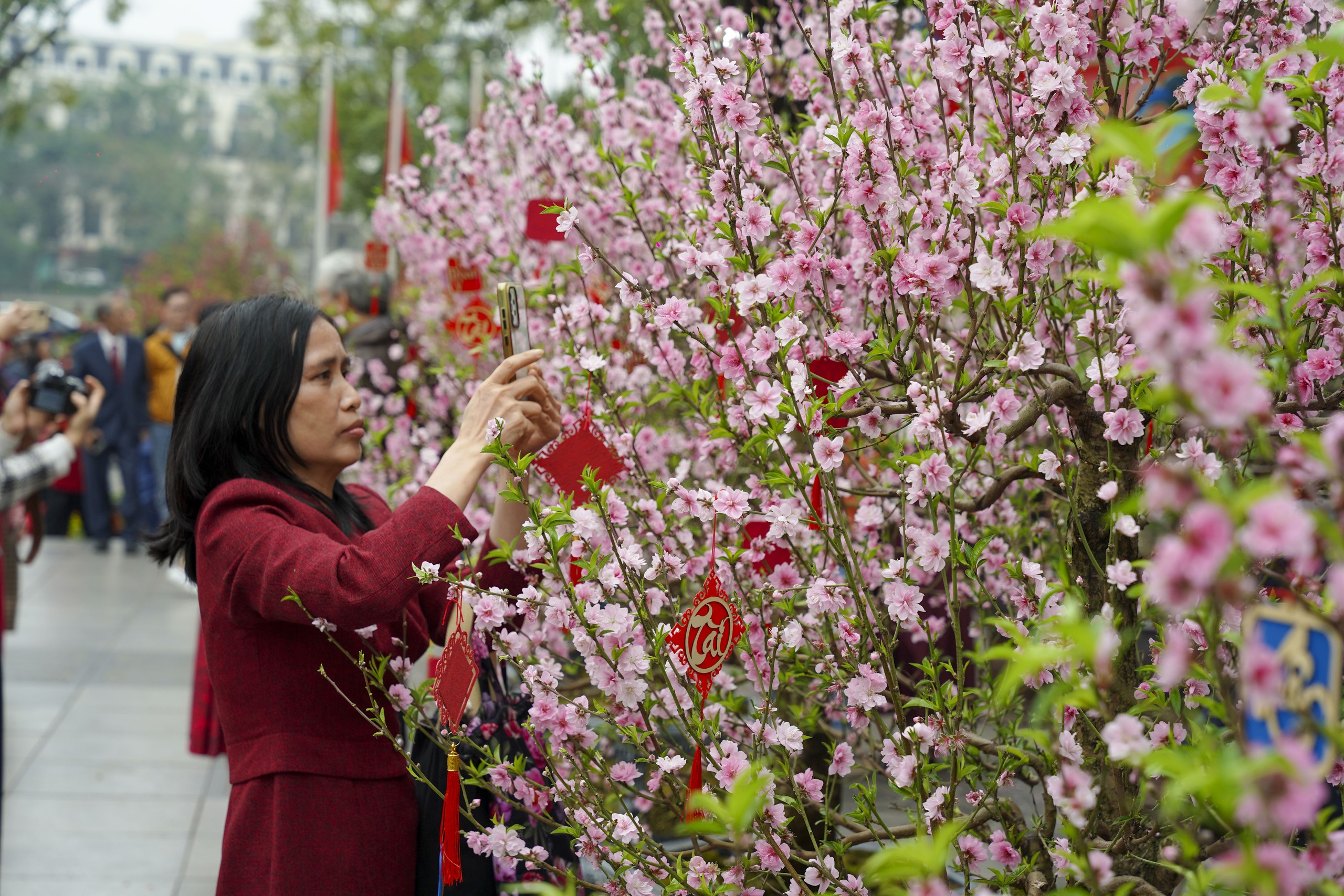 Mùng 2 Tết Bính Ngọ, người Hà Nội xúng xính áo dài xuống phố du Xuân - Ảnh 11. Mùng 2 Tết Bính Ngọ, người Hà Nội xúng xính áo dài xuống phố du Xuân - Ảnh 11.