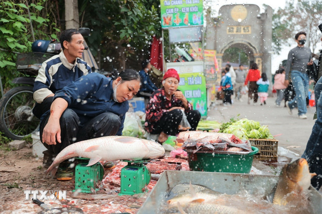 Thị trường hàng hóa ngày mùng 3 Tết: Nguồn cung dồi dào, giá cả ổn định- Ảnh 1.