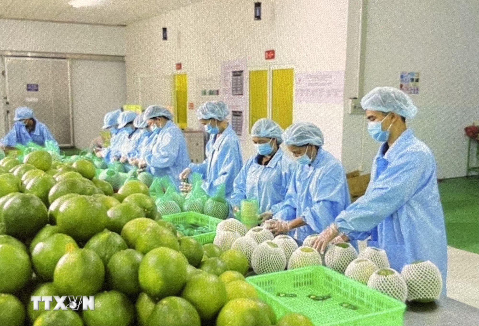 Xuất khẩu 2026: Áp lực từ "gió ngược" toàn cầu và lời giải tăng cường nội lực- Ảnh 2. Xuất khẩu 2026: Áp lực từ "gió ngược" toàn cầu và lời giải tăng cường nội lực- Ảnh 2.