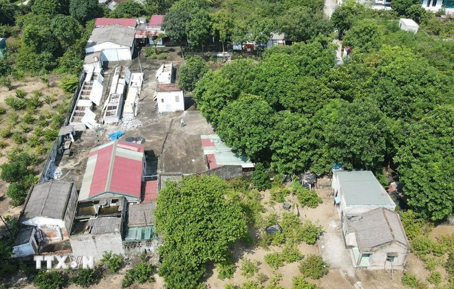 Phân cấp thẩm quyền cho Ủy ban Nhân dân cấp tỉnh thực hiện về lĩnh vực đất đai- Ảnh 2.