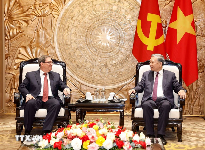 Tổng Bí thư tiếp Đặc phái viên Đảng, Nhà nước Cuba, Bộ trưởng Ngoại giao Cuba- Ảnh 1.