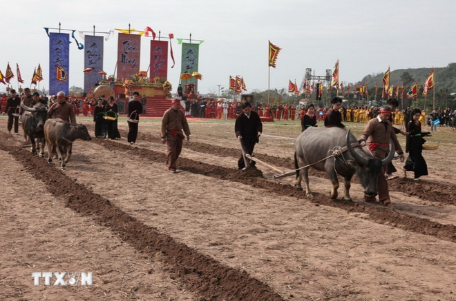 Du Xuân đầu năm 2026: 4 lễ hội lớn diễn ra tại Ninh Bình không thể bỏ qua- Ảnh 1.