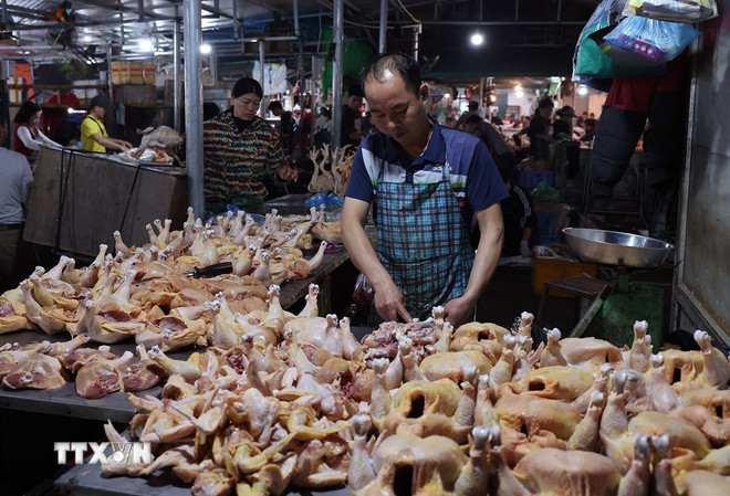 Thị trường ngày mùng 5 Tết: Không để phát sinh điểm nóng giá cả- Ảnh 1.