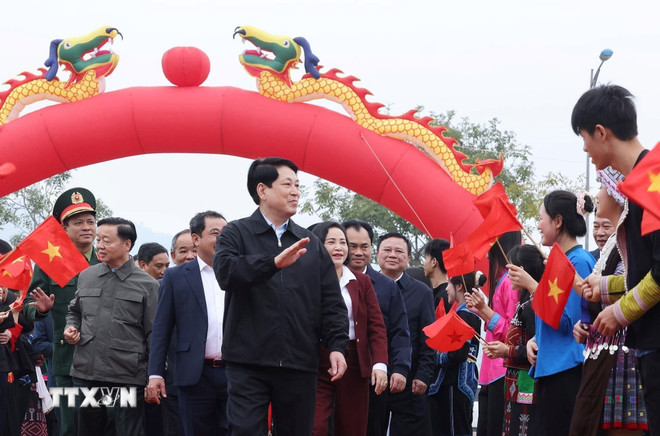 Chủ tịch nước: Tiếp tục đưa phong trào trồng cây đi vào chiều sâu, thực chất- Ảnh 1.