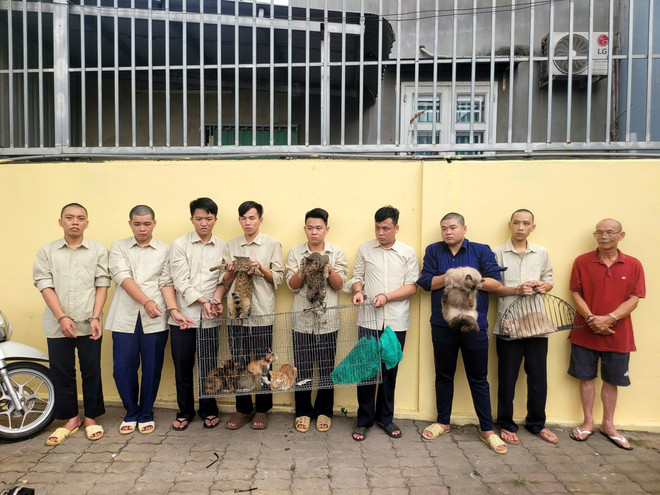 Triệt phá nhóm đối tượng chuyên trộm cắp mèo số lượng lớn, một đối tượng bỏ trốn- Ảnh 2.