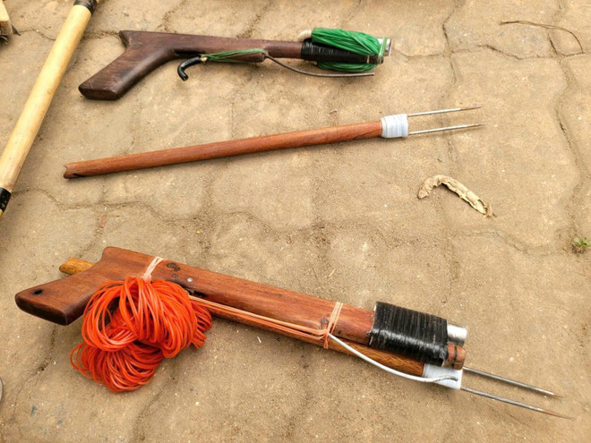 Triệt phá nhóm đối tượng chuyên trộm cắp mèo số lượng lớn, một đối tượng bỏ trốn- Ảnh 1.