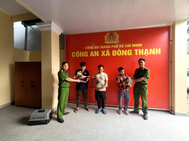 Triệt phá nhóm đối tượng chuyên trộm cắp mèo số lượng lớn, một đối tượng bỏ trốn- Ảnh 3.