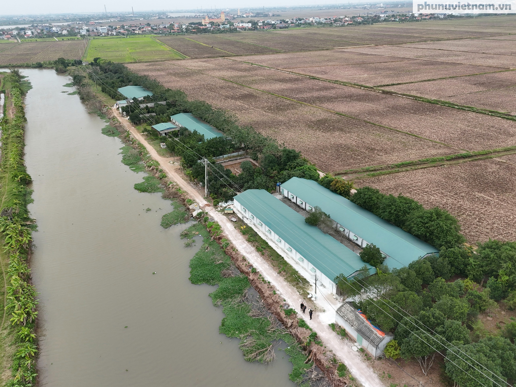 Bà chủ 58 tuổi biến đất mặn thành "đất vàng"- Ảnh 1.