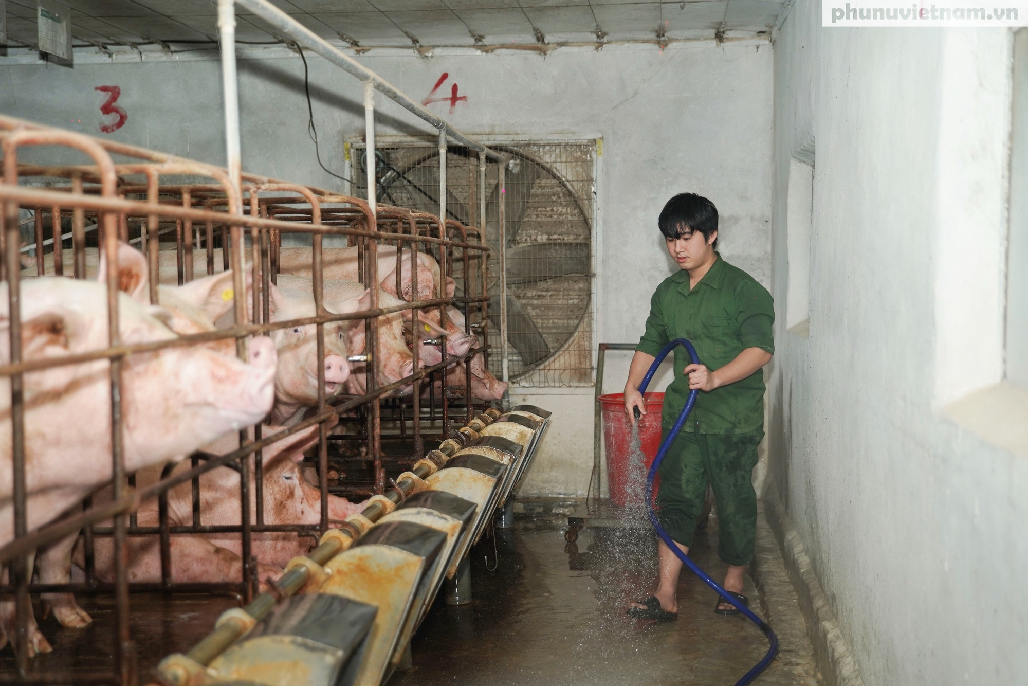 Bà chủ 58 tuổi biến đất mặn thành "đất vàng"- Ảnh 4.