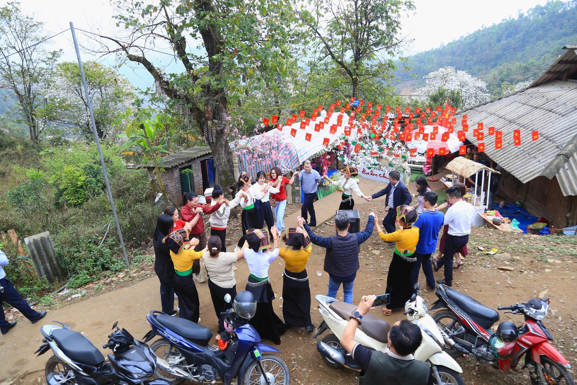 Điện Biên: Rừng ban cổ thụ bung nở hút giới trẻ đến "săn" ảnh- Ảnh 11. Điện Biên: Rừng ban cổ thụ bung nở hút giới trẻ đến "săn" ảnh- Ảnh 11.