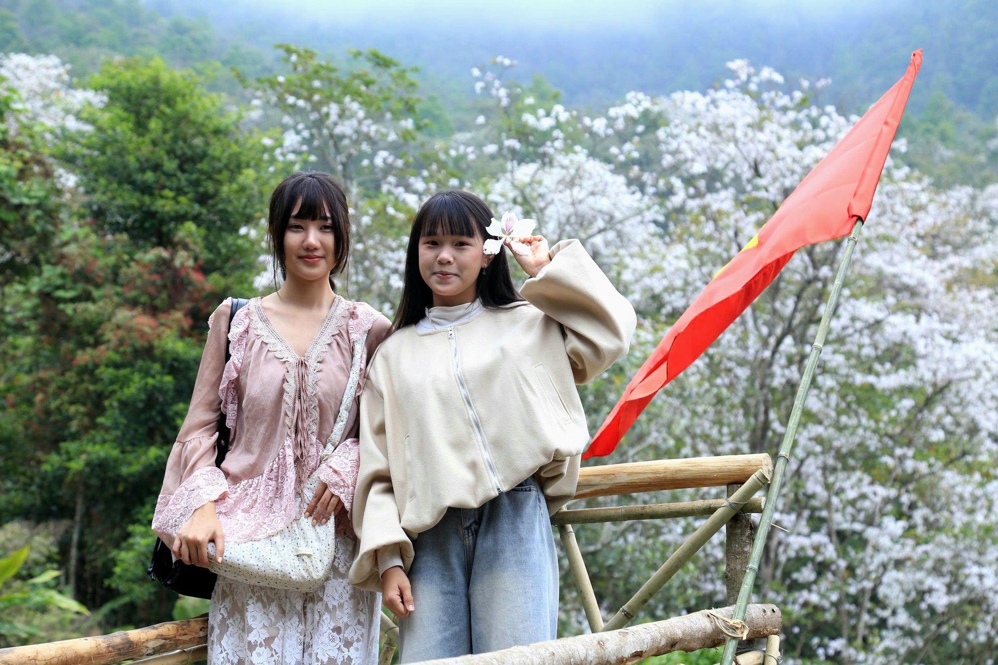 Điện Biên: Rừng ban cổ thụ bung nở hút giới trẻ đến "săn" ảnh- Ảnh 8. Điện Biên: Rừng ban cổ thụ bung nở hút giới trẻ đến "săn" ảnh- Ảnh 8.