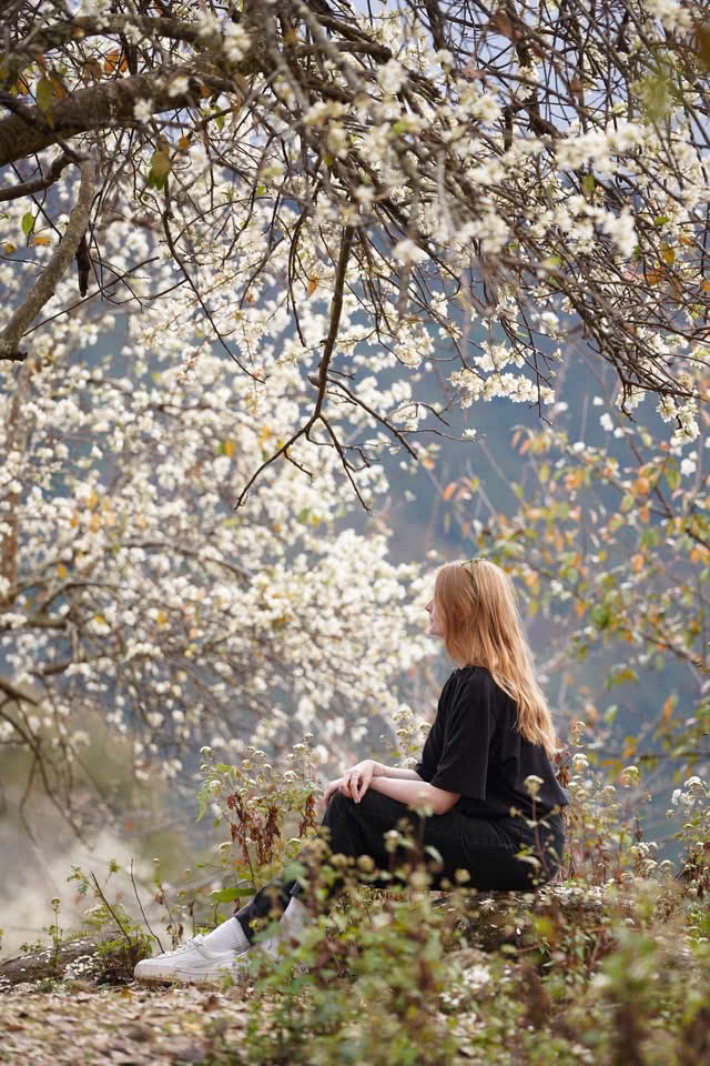 Rừng hoa sơn tra lớn nhất Việt Nam bung nở rực rỡ gọi mời du khách- Ảnh 7. Rừng hoa sơn tra lớn nhất Việt Nam bung nở rực rỡ gọi mời du khách- Ảnh 7.