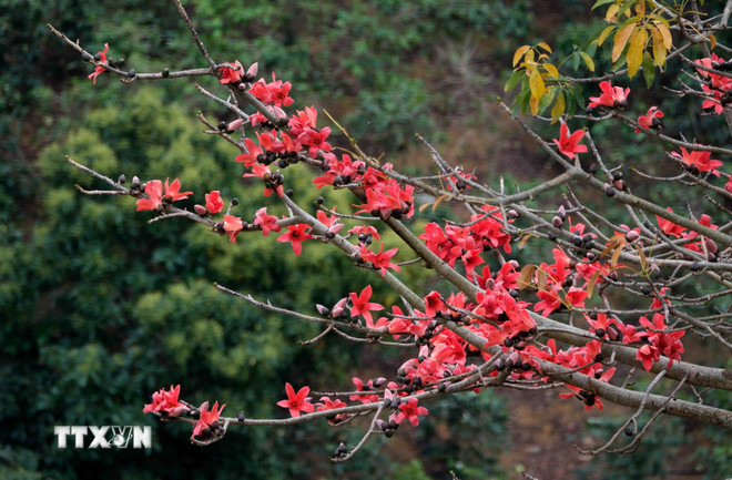 Những điểm đến đẹp nhất Việt Nam vào tháng 3- Ảnh 3.