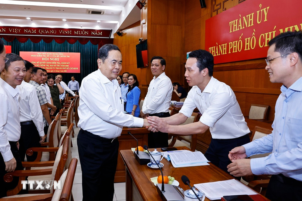 Công bố Quyết định kiểm tra, giám sát với Ban Thường vụ Thành ủy TPHCM- Ảnh 1.