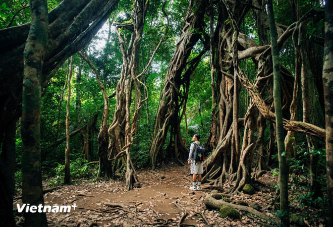 Nghỉ lễ 30/4: Khách Việt ưu tiên xuất ngoại gần với những trải nghiệm lạ, thú vị- Ảnh 3.