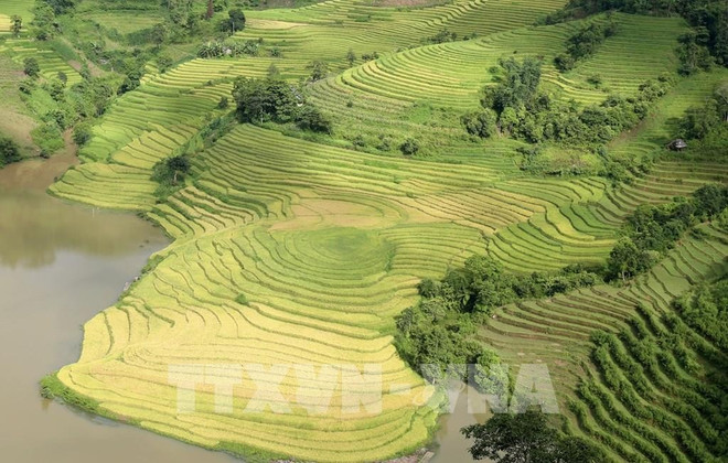 Việt Nam có thêm Vườn quốc gia thứ 36 với tổng diện tích hơn 18.510ha- Ảnh 1.