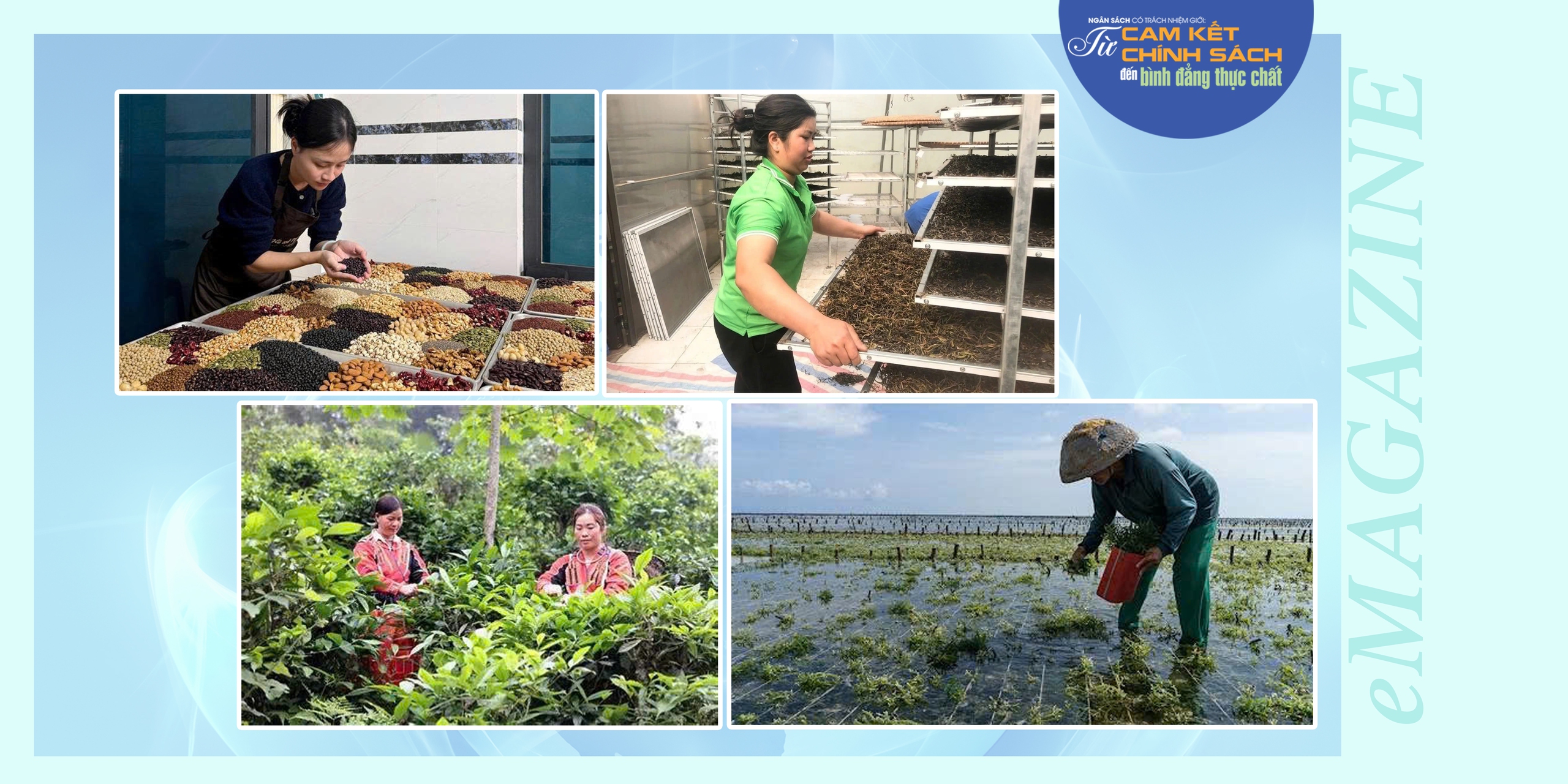 Ngân sách có trách nhiệm giới - Kỳ cuối: Từ cam kết chính sách đến hành động thực tế- Ảnh 2.