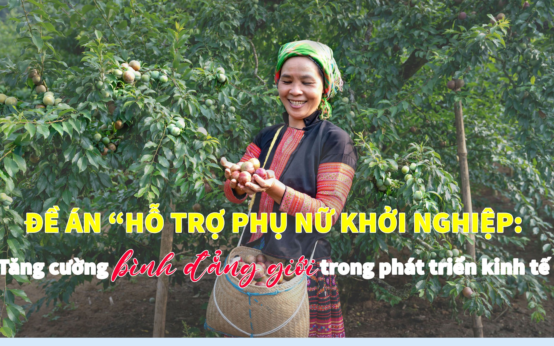 Đề án "Hỗ trợ phụ nữ khởi nghiệp": Tăng cường bình đẳng giới trong phát triển kinh tế