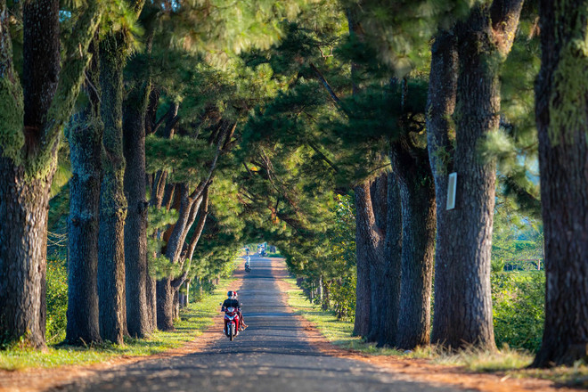 Du lịch Việt Nam đặt mục tiêu 45-50 triệu khách quốc tế vào năm 2030- Ảnh 1.