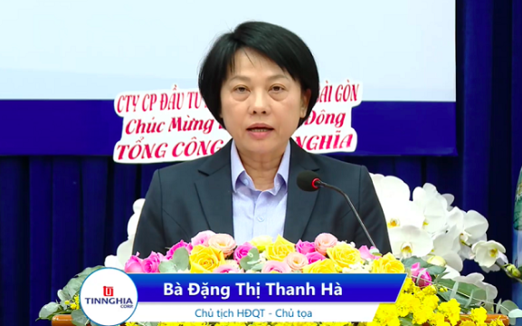 Bà Đặng Thị Thanh Hà từ nhiệm chức Chủ tịch Khu công nghiệp Tín Nghĩa - Ảnh 1.