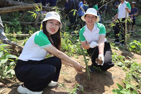 Bảo Thanh trồng 2.000 cây xanh và trao tặng tủ thuốc cho trạm y tế cơ sở tại Tây Nghệ An- Ảnh 2.