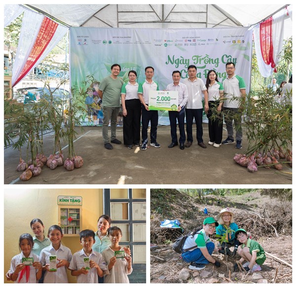 Bảo Thanh trồng 2.000 cây xanh và trao tặng tủ thuốc cho trạm y tế cơ sở tại Tây Nghệ An- Ảnh 5.