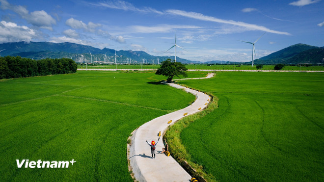 Du lịch Việt: Thị trường quốc tế nào giữ vị thế tăng trưởng mạnh bền vững nhất?- Ảnh 3.