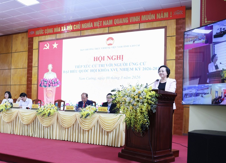 Phó Thủ tướng Phạm Thị Thanh Trà thông tin tới cử tri về lộ trình cải cách tiền lương, cắt giảm thủ tục hành chính- Ảnh 2.