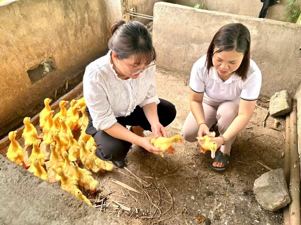 Tuyên Quang: Nhiều hoạt động, mô hình tiêu biểu chào mừng Đại hội Phụ nữ toàn quốc XIV- Ảnh 8.