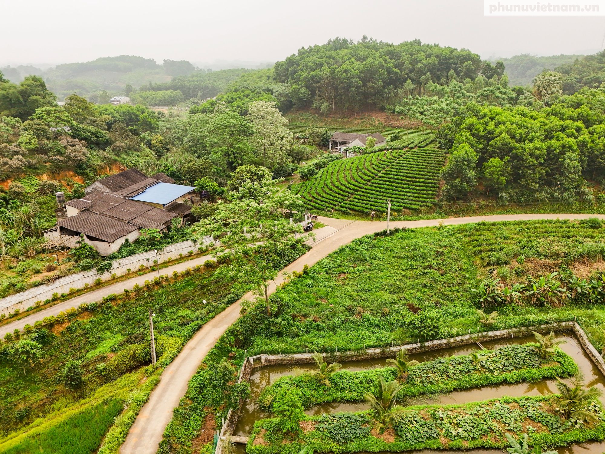 Người dân dứt bỏ khói thuốc, đưa xóm nhỏ trở lại trong lành- Ảnh 1.