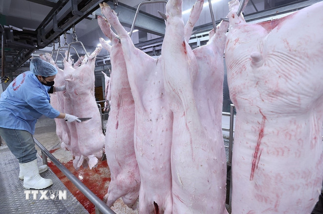 Hà Nội: Truy đến cùng trách nhiệm về vi phạm thực phẩm học đường- Ảnh 1.