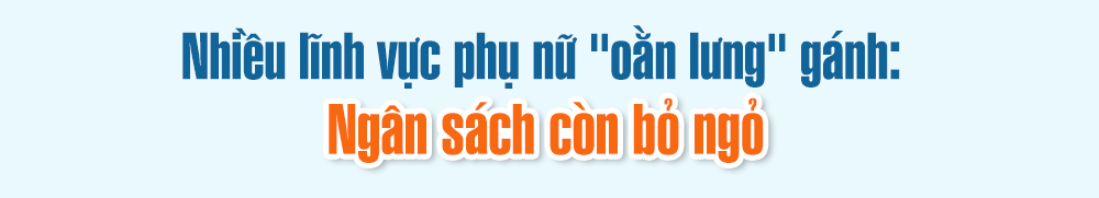 Ngân sách có trách nhiệm giới: Từ cam kết chính sách đến bình đẳng thực chất- Ảnh 2.