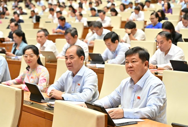 Phát huy vai trò của luật sư công trong giải quyết vấn đề pháp lý của khu vực nhà nước- Ảnh 2.