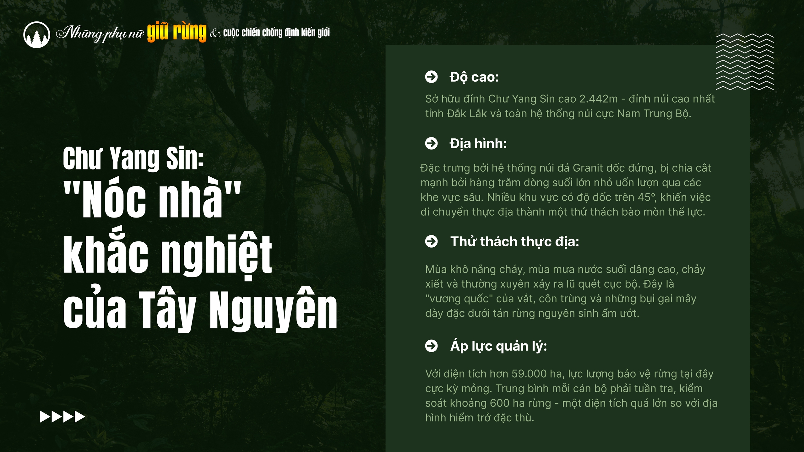 Những phụ nữ giữ rừng và cuộc chiến chống định kiến giới- Ảnh 10.