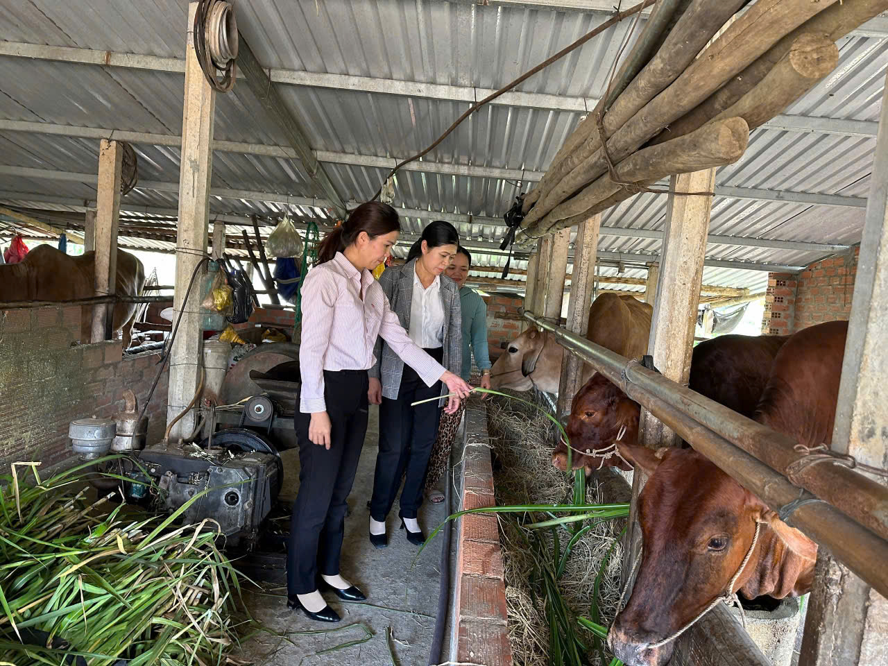 Dấu ấn tín dụng chính sách ở vùng sơn cước- Ảnh 3.