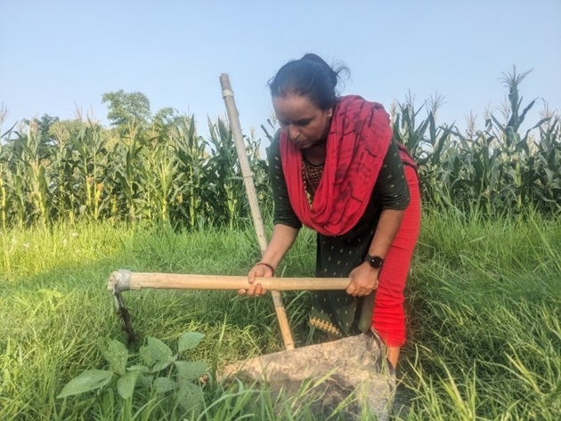 Lồng ghép giới trong chính sách khí hậu: Từ kinh nghiệm quốc tế đến kiến nghị hành động cho Việt Nam- Ảnh 2.