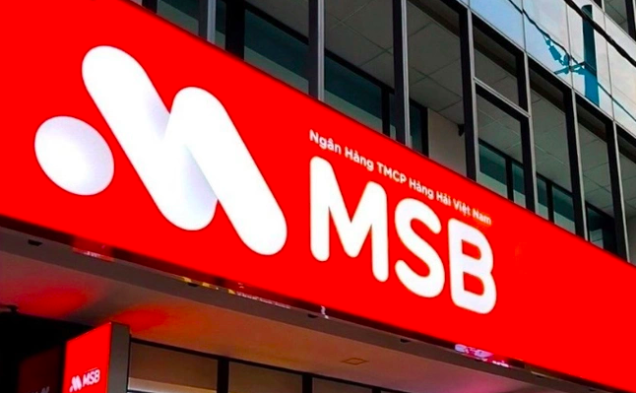 MSB bất ngờ bổ sung 1.000 tỷ vào TNEX- Ảnh 1.