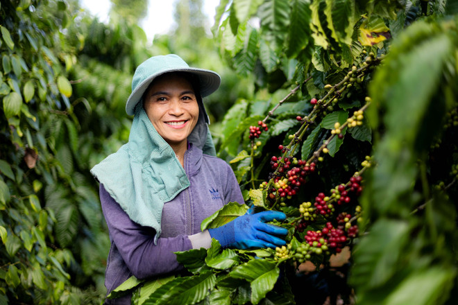 Cục Thống kê: Mức giá sinh hoạt của Hà Nội đắt đỏ nhất cả nước- Ảnh 2.