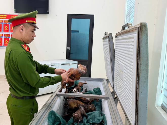 Hà Nội triệt phá ổ nhóm trộm mèo quy mô lớn, tiêu thụ hơn 300 con- Ảnh 1.
