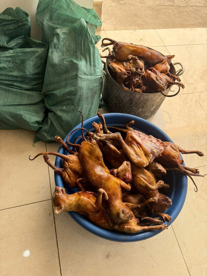 Hà Nội triệt phá ổ nhóm trộm mèo quy mô lớn, tiêu thụ hơn 300 con- Ảnh 2.
