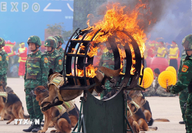 Tăng tốc bứt phá, quyết tâm thực hiện thắng lợi Nghị quyết Đại hội XIV của Đảng- Ảnh 7.