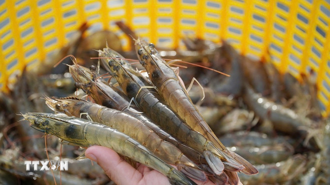 Ban hành Nghị quyết về thúc đẩy phát triển nông nghiệp, nông thôn bền vững- Ảnh 3.