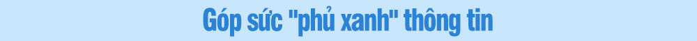 Lấy "xây" để "chống": Cách làm ở Cái Răng- Ảnh 1. Lấy