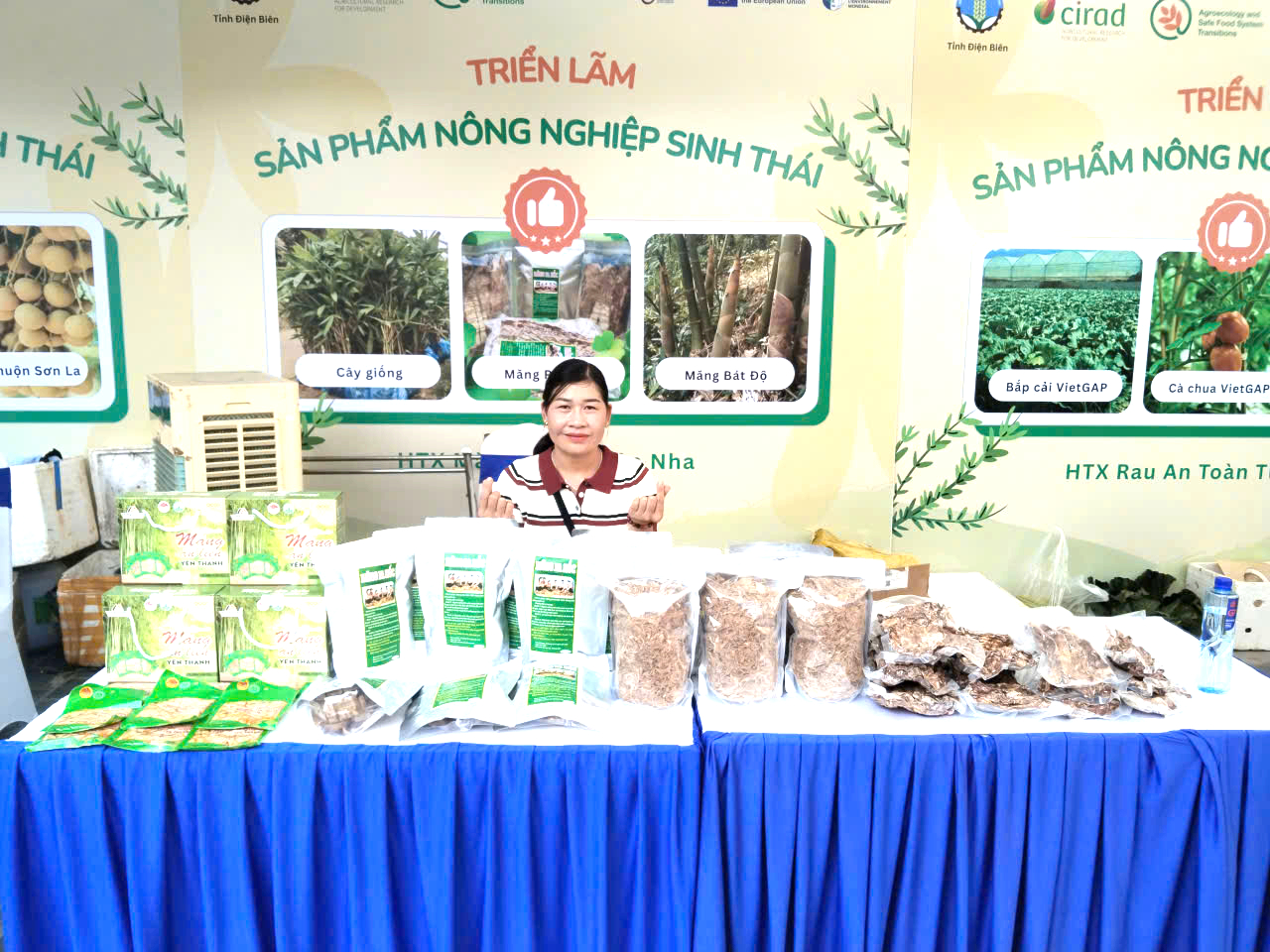 Khát vọng làm giàu từ kinh tế tập thể của phụ nữ vùng cao Sơn La- Ảnh 1. Khát vọng làm giàu từ kinh tế tập thể của phụ nữ vùng cao Sơn La- Ảnh 1.